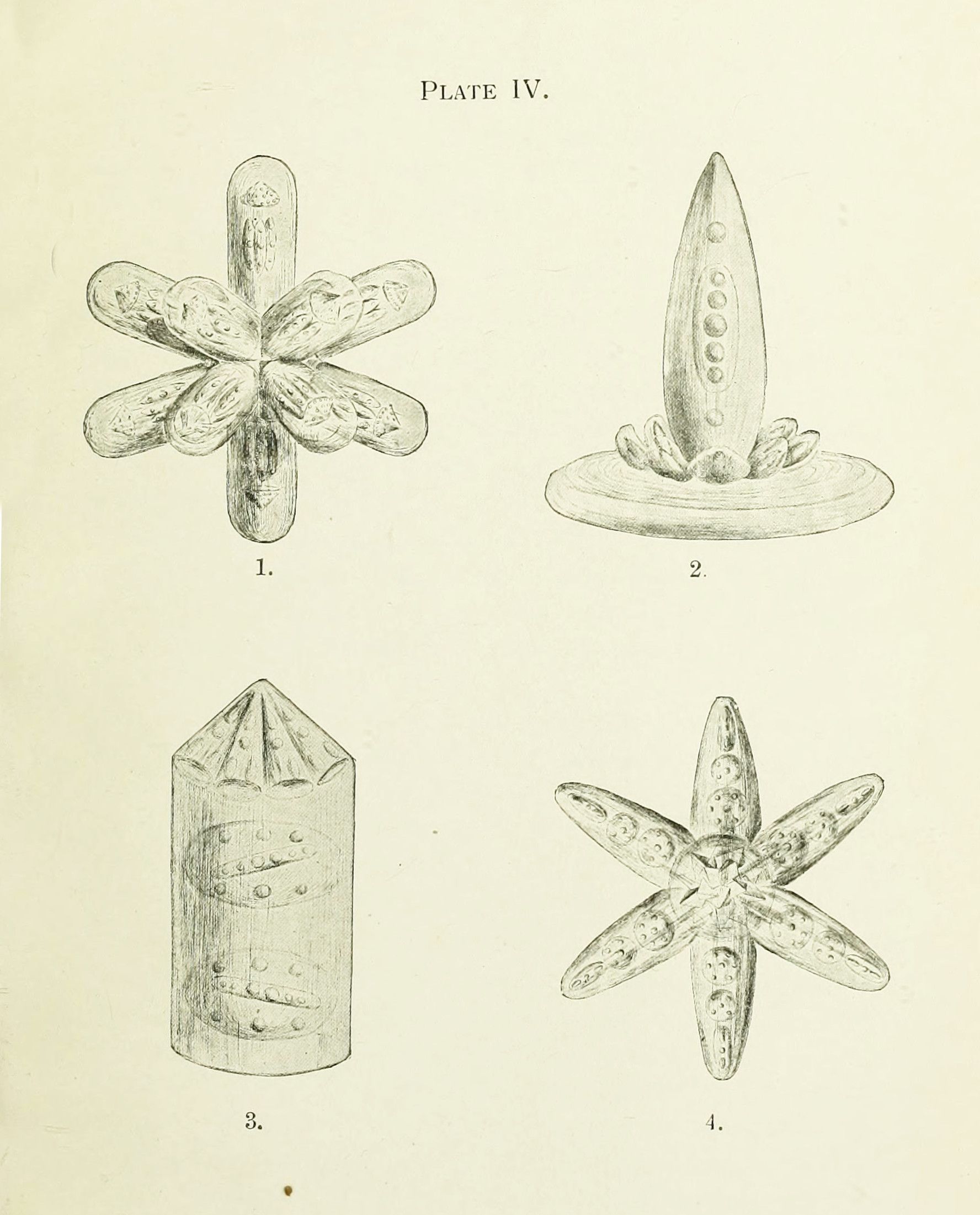 Vintage scientific illustration of four microscopic organisms or crystalline structures, labeled "PLATE IV".