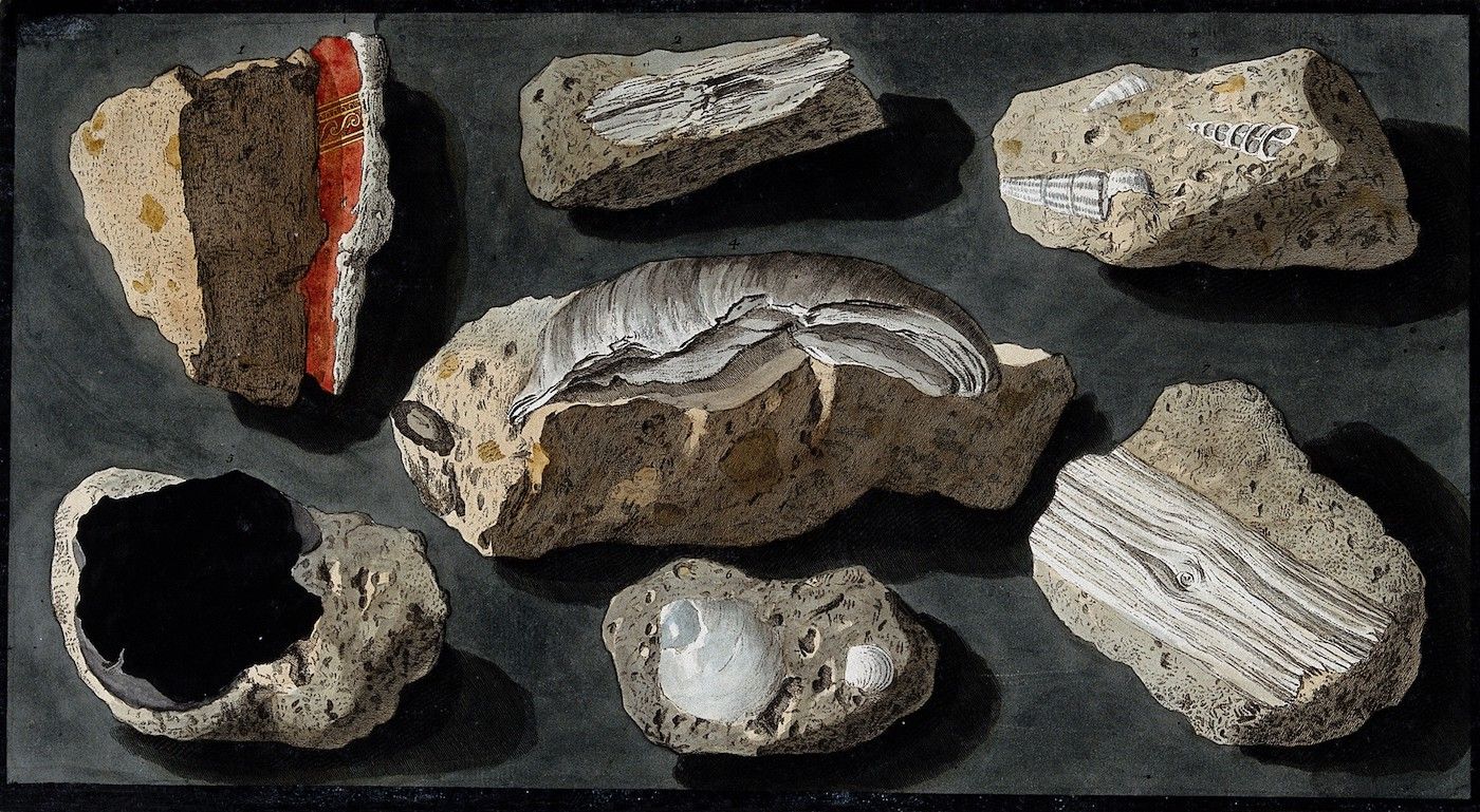 A collection of weathered stone fragments, likely archaeological finds, arranged on a dark surface.