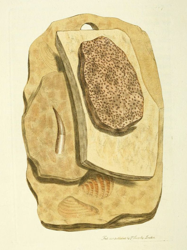 Vintage illustration of a large backpack with a patterned top section.