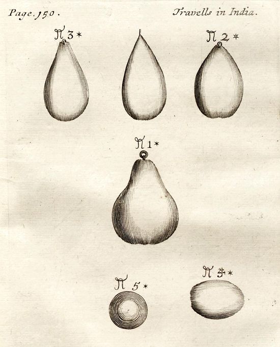 Vintage botanical illustration of six different fruits, labeled N1* to N5*, with the text "Page 150" and "Travells in India".