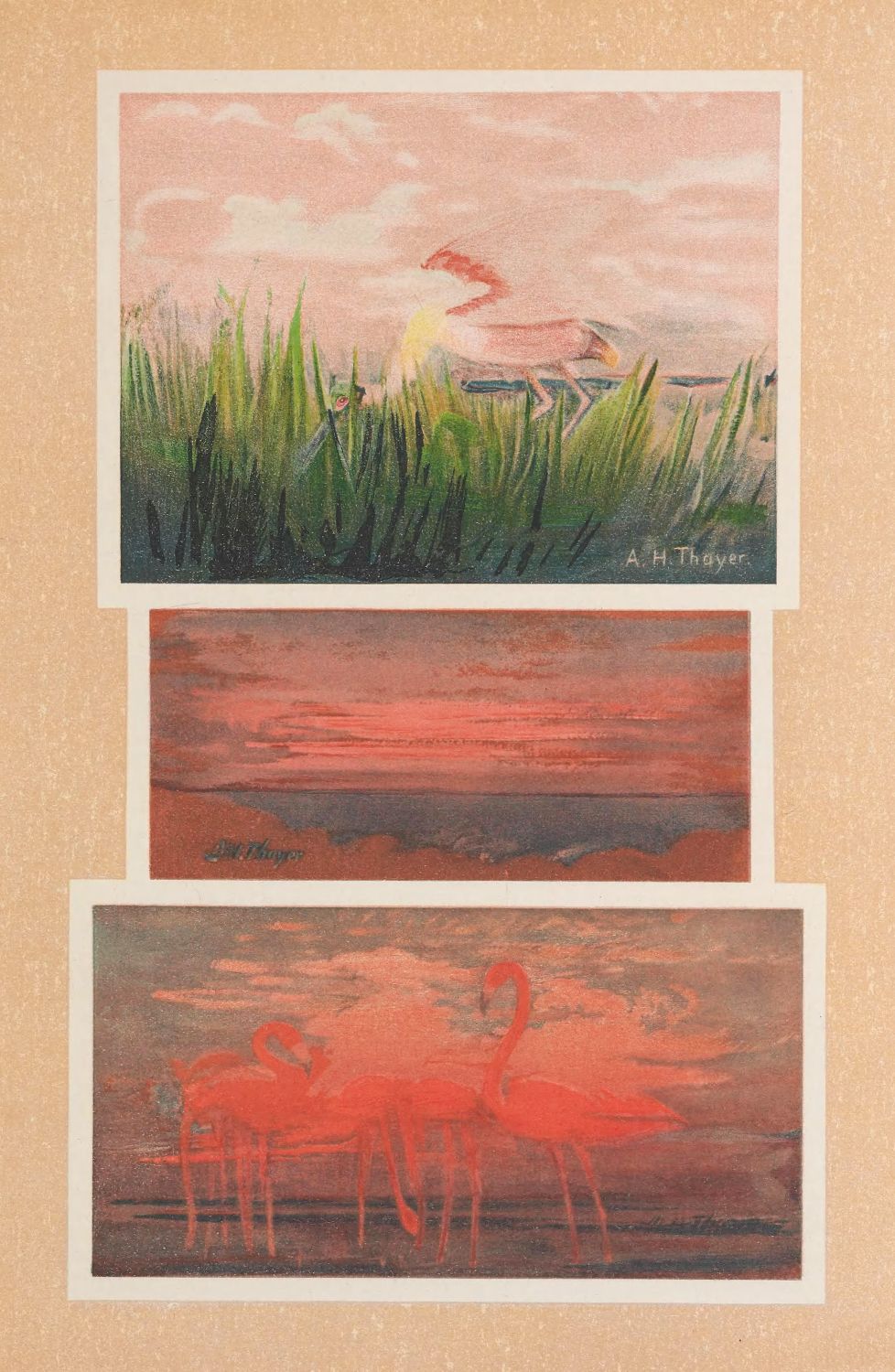 A collage of three rectangular paintings arranged vertically on a textured, light brown background. The top painting depicts a landscape with tall, green grass in the foreground and a hazy, pink and orange sky in the background. The middle painting is a solid, textured red, resembling a body of water or a sunset reflection. The bottom painting features a group of flamingos standing in shallow water.