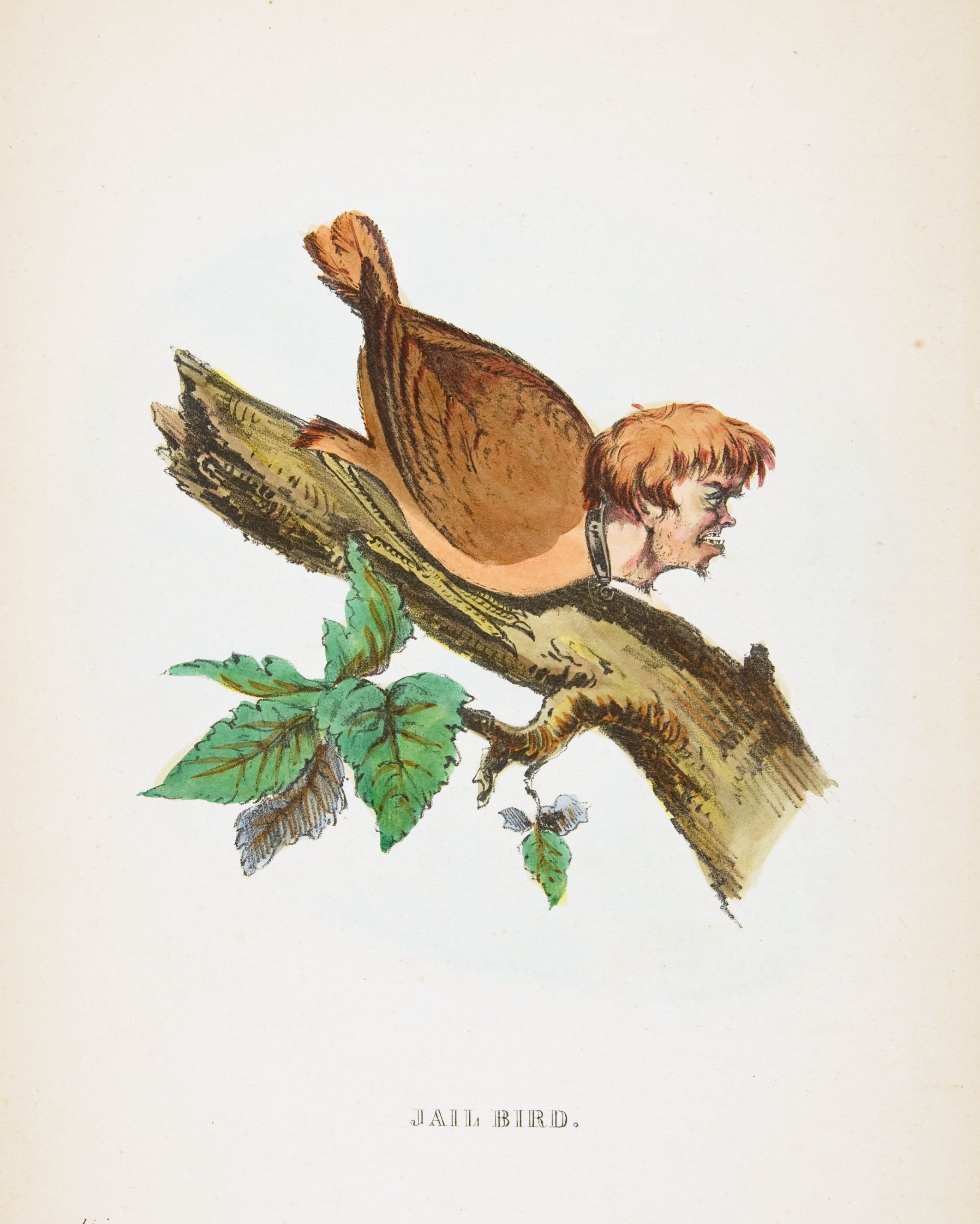 Vintage illustration of a bird with a man's head, titled "JAIL BIRD".
