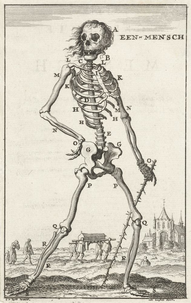 Vintage engraving of a human skeleton with labeled bones, standing in a landscape with a town and people in the background.