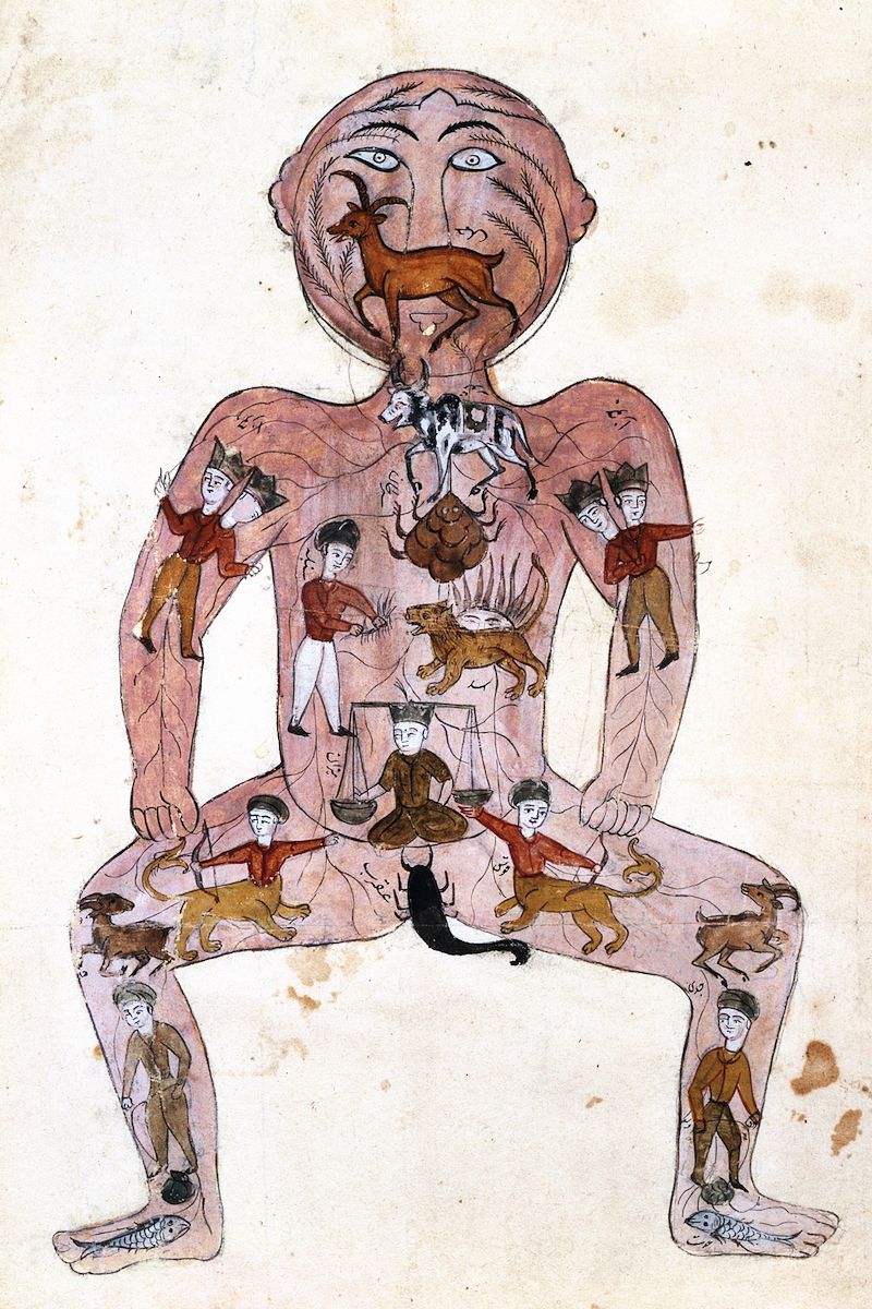 A vintage illustration of a "zodiac man," a historical representation of the connection between the human body and the zodiac signs.