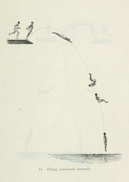 Vintage illustration of a person performing a forward somersault dive from a diving board.