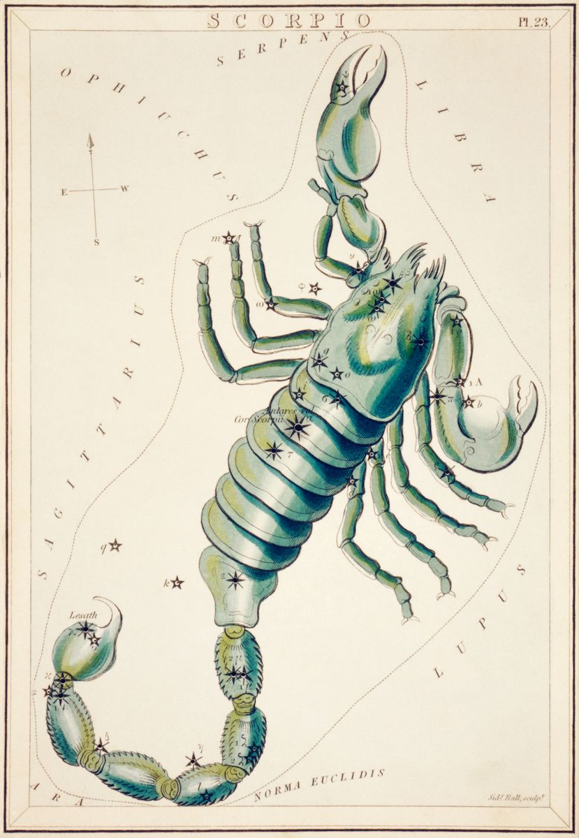 A vintage astronomical chart depicting the constellation Scorpio, with a detailed illustration of a scorpion and labeled stars.