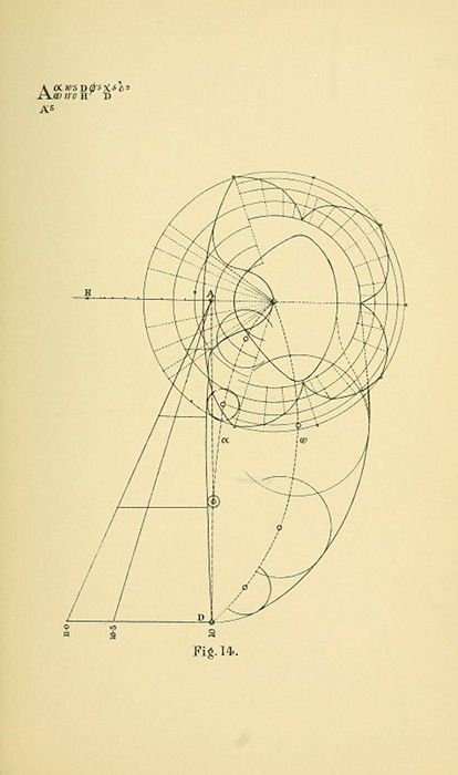 Vintage diagram of a spiral with intersecting lines and geometric shapes.
