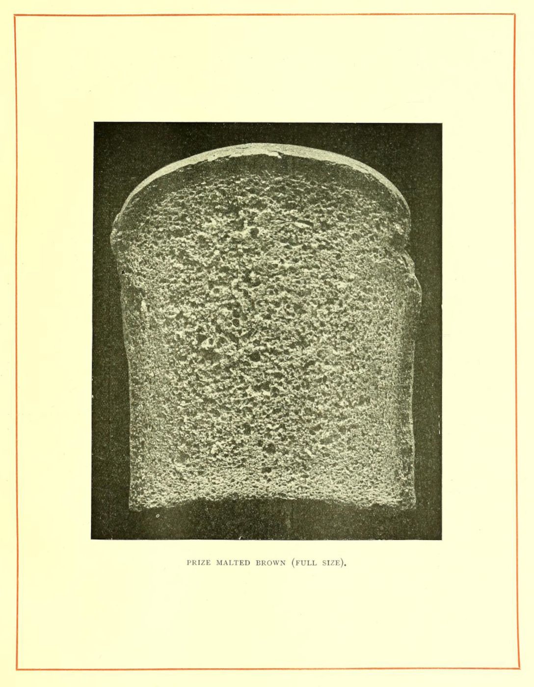 A vintage photograph of a slice of dark brown malted bread, labeled 'PRIZE MALTED BROWN (FULL SIZE)'.