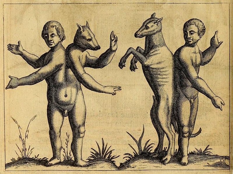 Vintage illustration of two hybrid creatures, each with a human child's upper body and the lower body of an animal (wolf and deer).