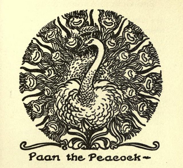 A vintage illustration of a peacock with ornate feathers and the text 'Paan the Peacock'.