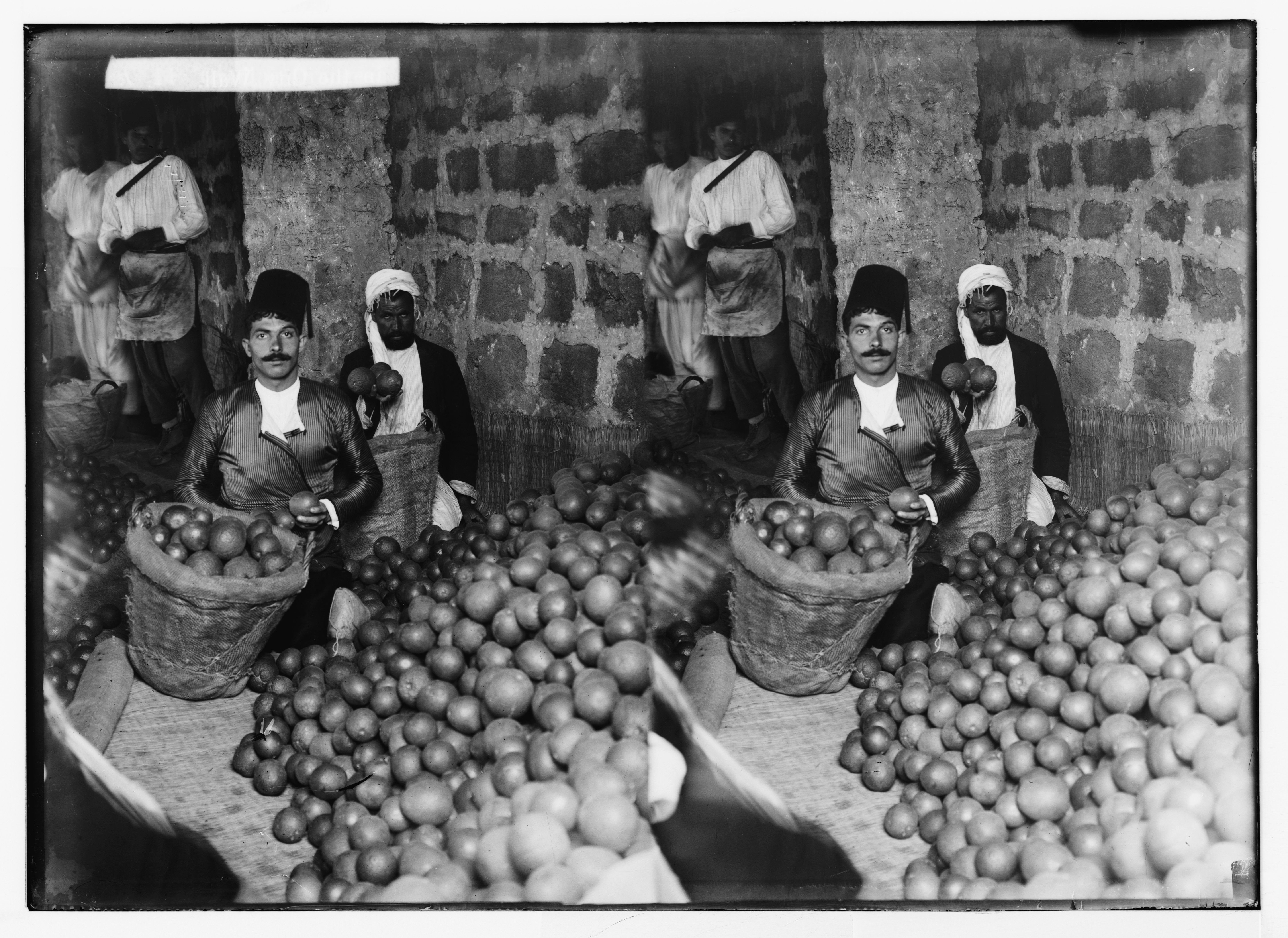 A black and white photograph of five men filling baskets with fruit in a warehouse.