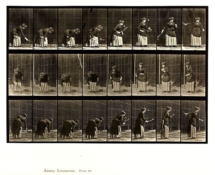 A sequence of 24 black and white photographs arranged in a grid-like pattern, documenting the motion of a person walking a dog.