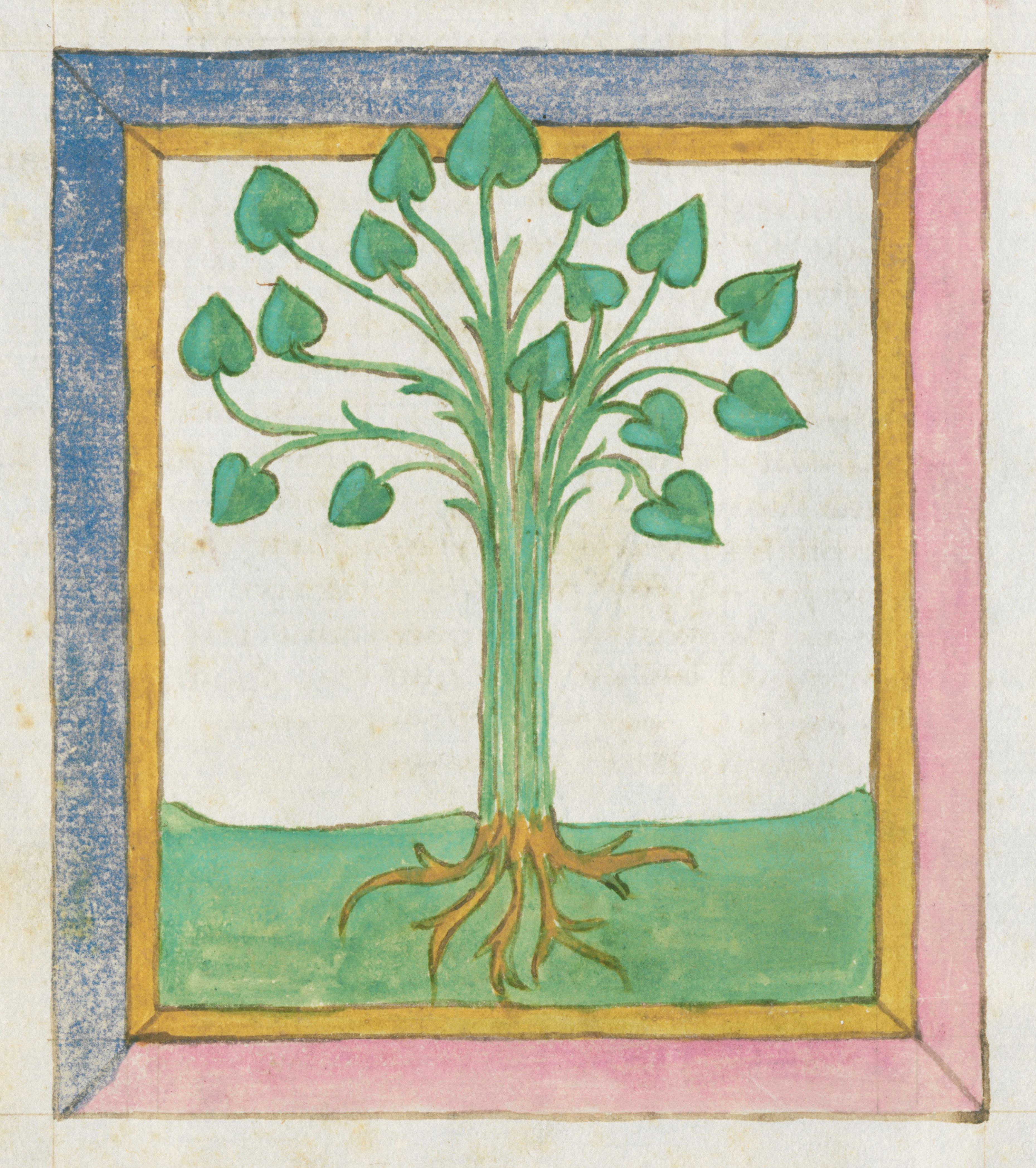 A medieval-style illustration of a tree with heart-shaped leaves, set within a blue, gold, and pink border.