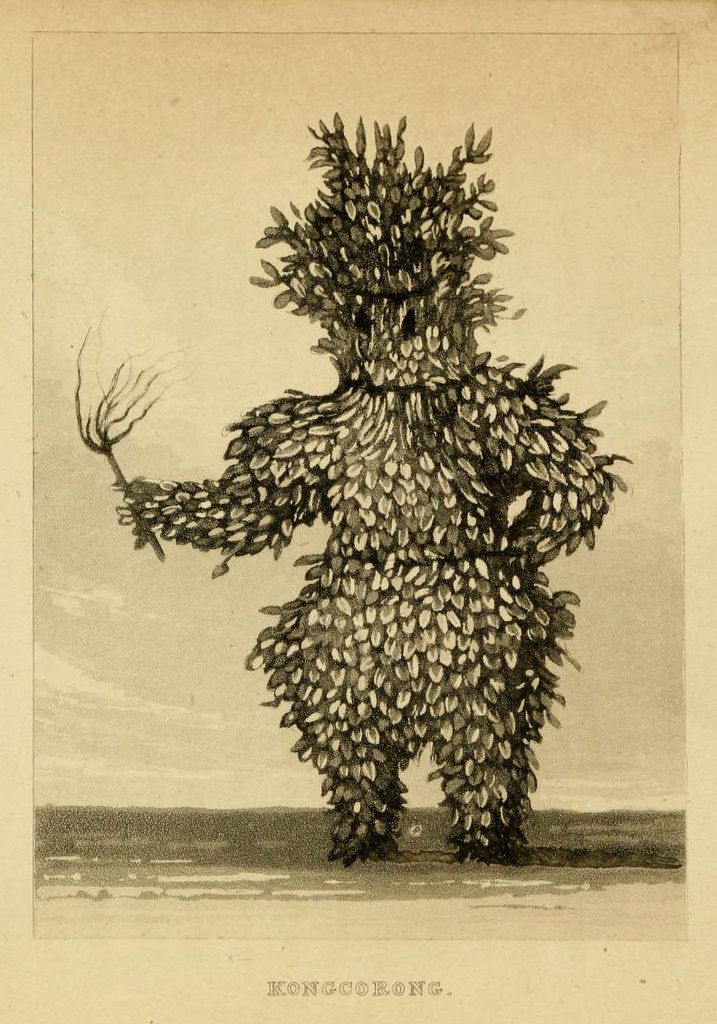 Vintage illustration of a humanoid creature made entirely of plant-like structures, holding a branch, standing on a flat ground. The word 'KONGGORONG' is written below the image.