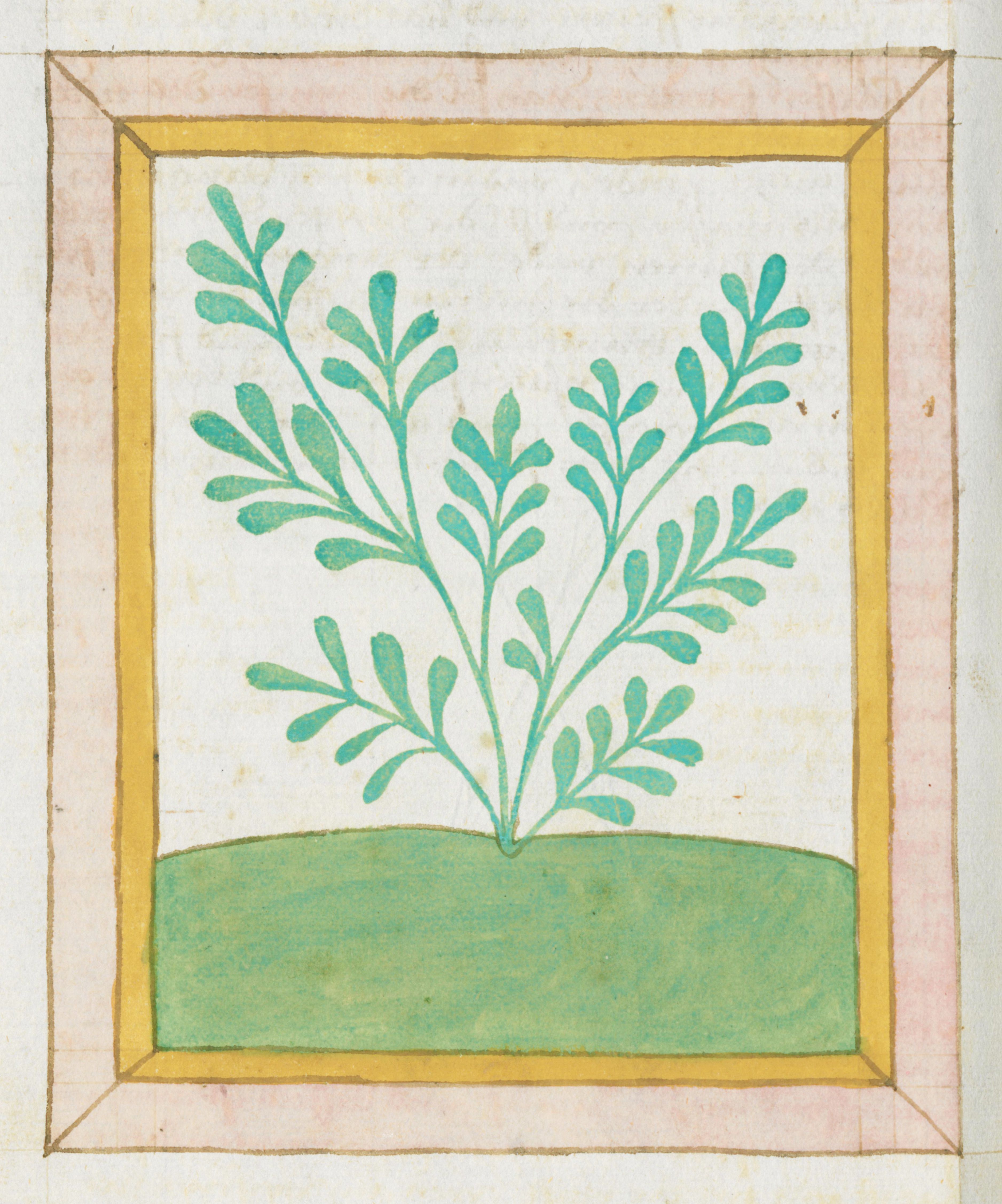 A stylized green plant within a decorative frame.