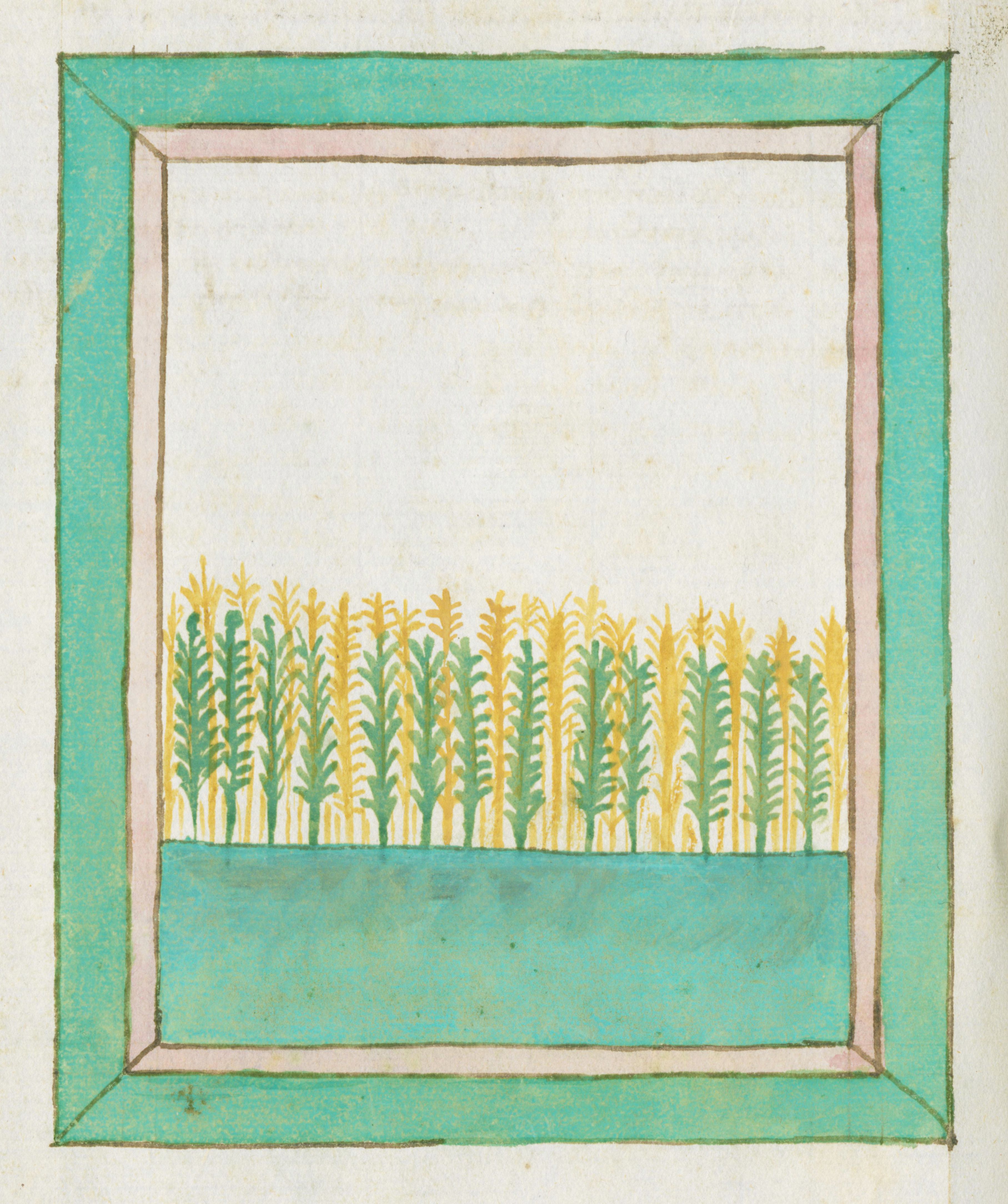 A colorful illustration of a cornfield framed by a teal border. The field is depicted with yellow and green corn stalks against a light blue sky and teal ground.
