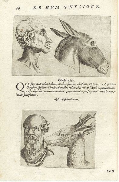 Vintage illustration of human and animal heads from an old book.