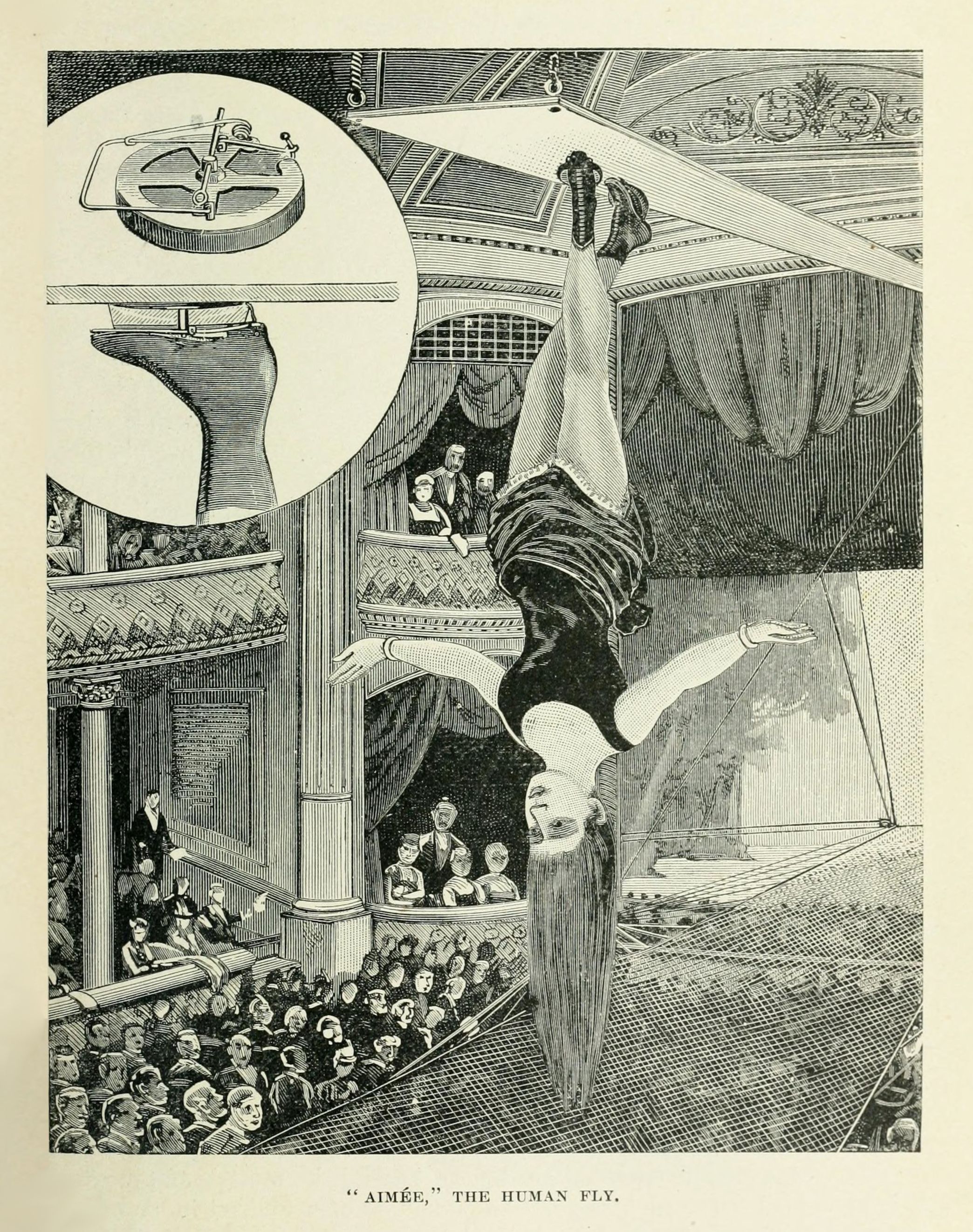 Vintage illustration of a woman performing as "The Human Fly" in a grand theater, suspended upside down on stage with a large audience watching.