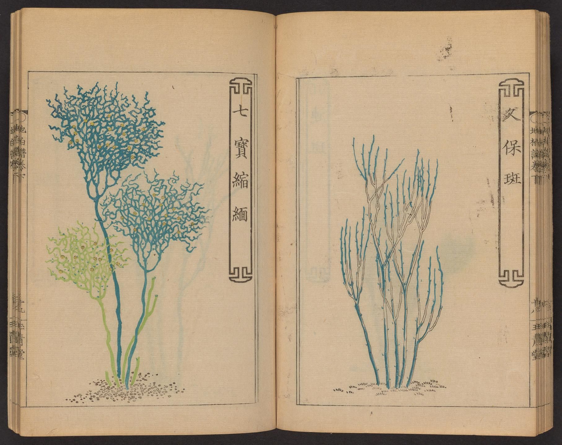 Open book with two facing pages, each featuring a detailed botanical illustration of a tree and grass in a traditional East Asian style.