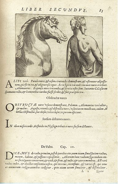 Vintage anatomical illustration of a horse's neck and a man's back, surrounded by Latin text.
