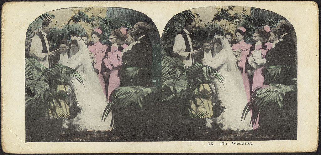 Stereoscope card of a wedding scene with a bride and groom surrounded by a wedding party in a garden setting.