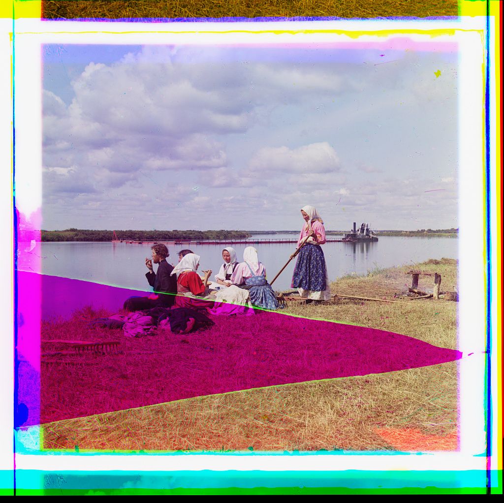 Vintage photograph of women working in a magenta field near a body of water.