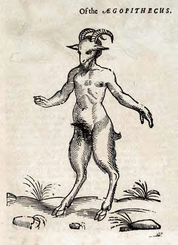 Vintage woodcut illustration of a mythical creature with a goat's body and human arms and torso.