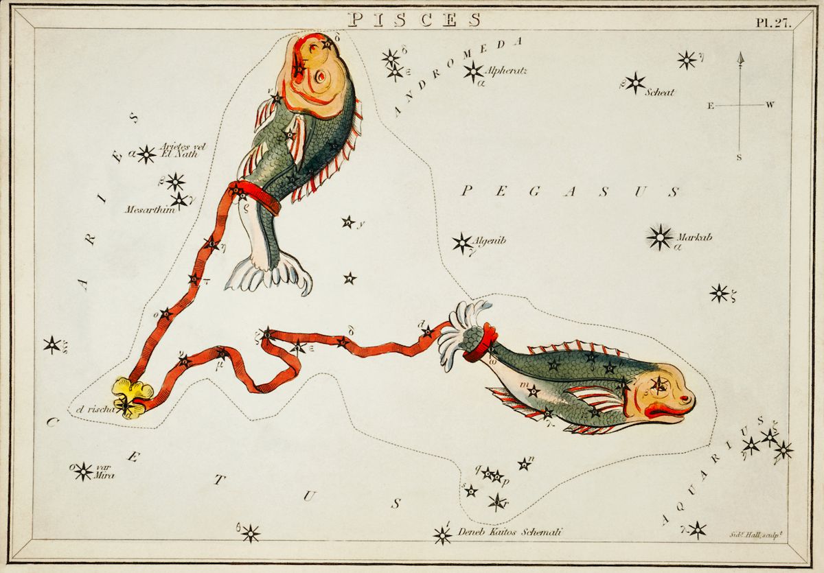 Vintage astronomical chart of the Pisces constellation, featuring two fish connected by a red line, surrounded by stars and labeled with Greek letters and constellation names.