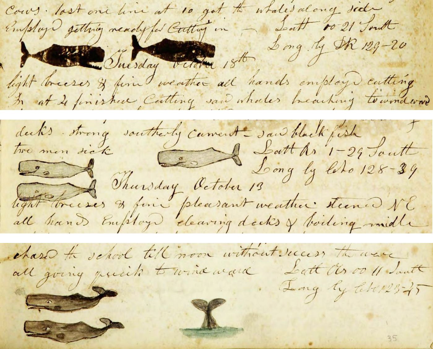 A series of aged pages from a ship's log, filled with cursive handwriting and sketches of whales.