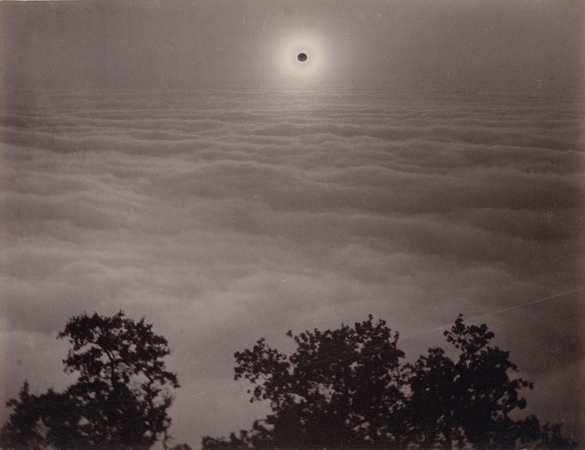 Black and white photograph of a total solar eclipse with the sun obscured by the moon and silhouetted trees in the foreground.