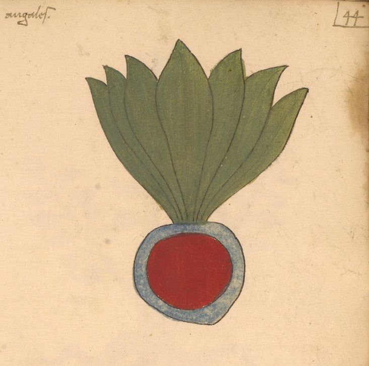 Vintage illustration of a green plume with a red and blue base, labeled 'ungelof' and numbered '44'.