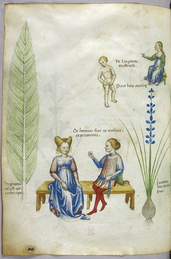 A page from a medieval manuscript with illustrations of a feather, a man and woman seated on a bench, a nude child, a woman raising her arm, and a plant with blue flowers. The page is filled with text in a medieval script.