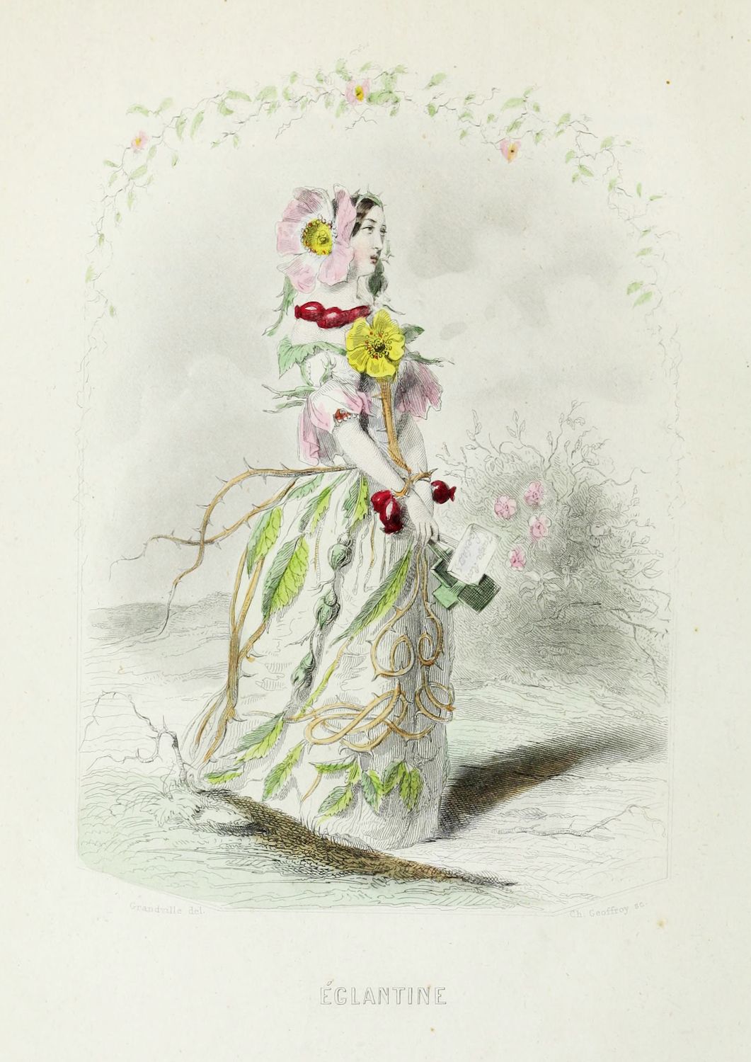 Vintage lithograph of a woman stylized as an Eglantine plant, with a rose for a head and foliage for a dress.