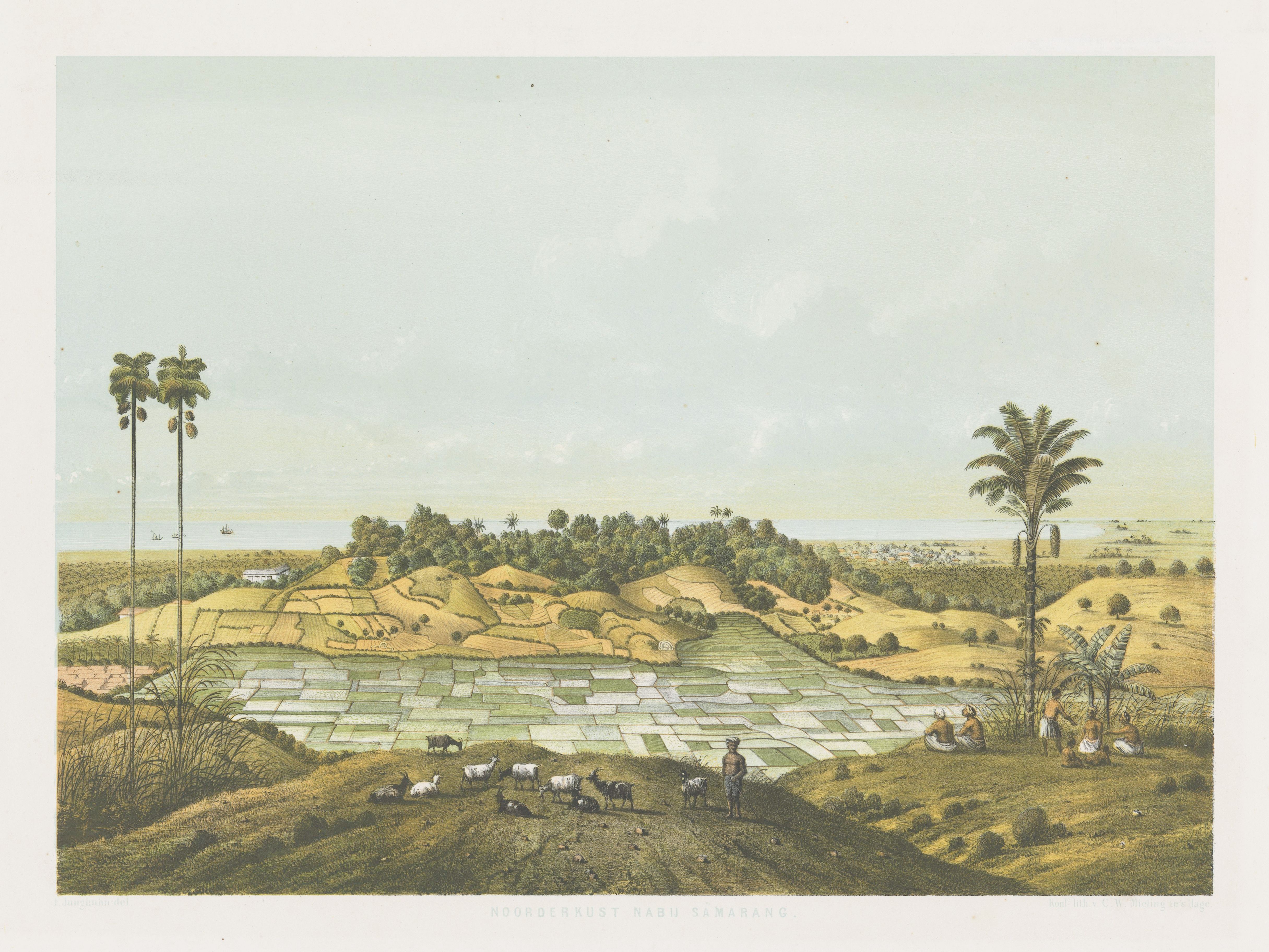 Vintage lithograph of a rural landscape with a grassy hill, patchwork fields, livestock, and distant buildings.