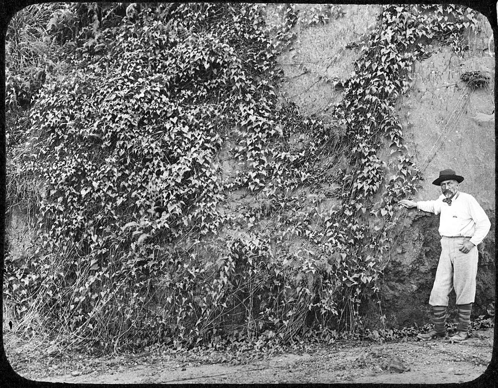 A black and white photograph of a man standing next to a wall covered in climbing plants.