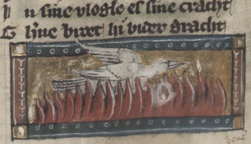 Medieval manuscript illustration of a person being burned at the stake.