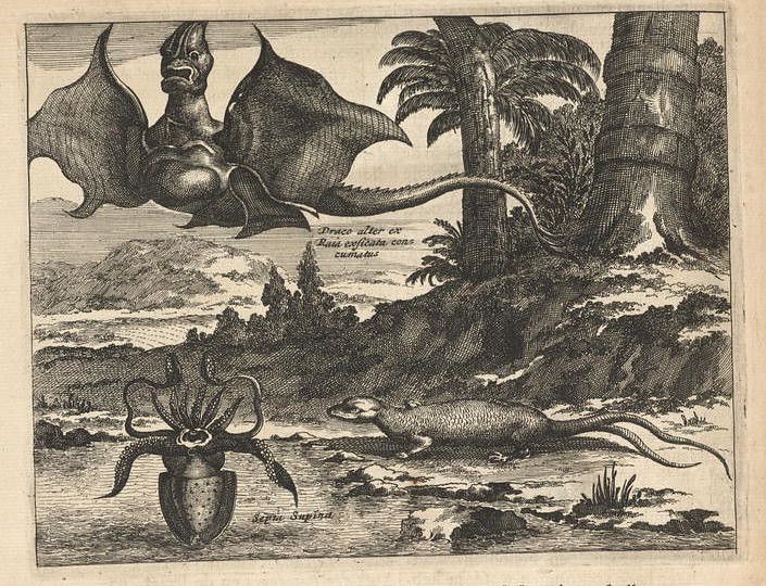 A black and white engraving of a dragon, a serpentine animal, and a strange plant in a lush landscape.
