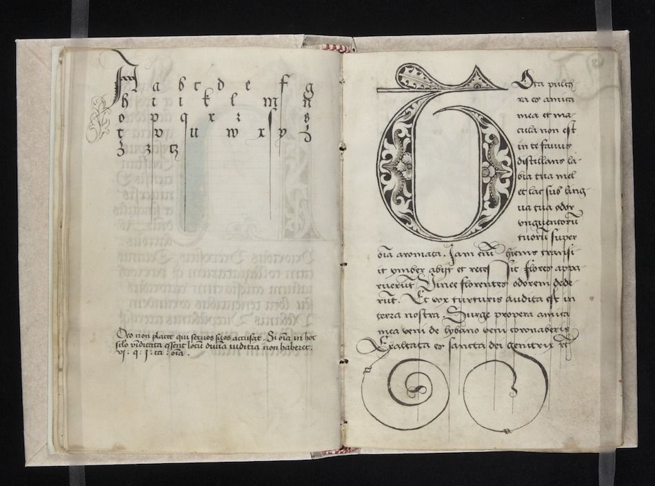 Open antique book with handwritten text and illuminated initial letter.