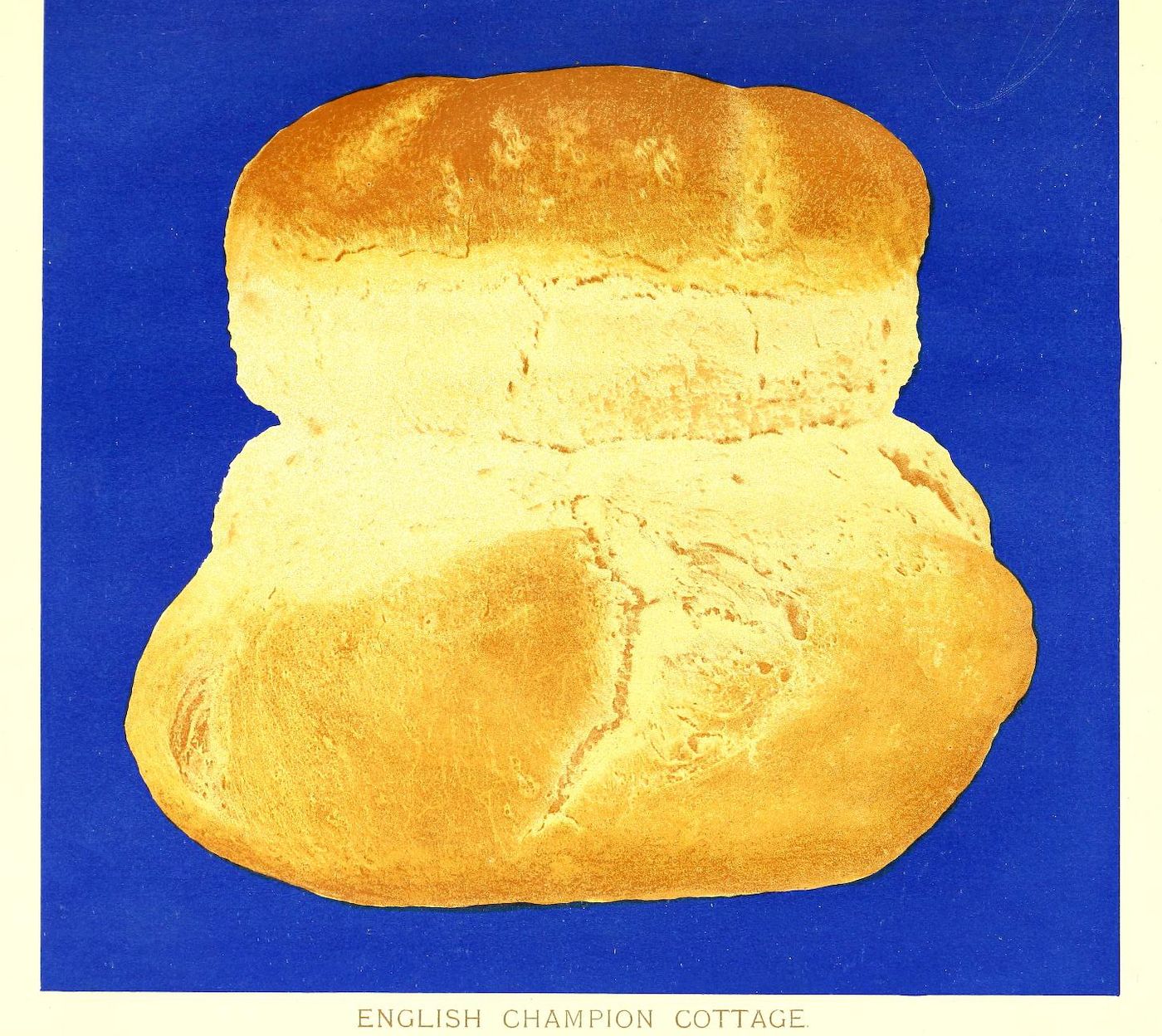 A golden-yellow loaf of bread against a blue background with the text 'ENGLISH CHAMPION COTTAGE' at the bottom.