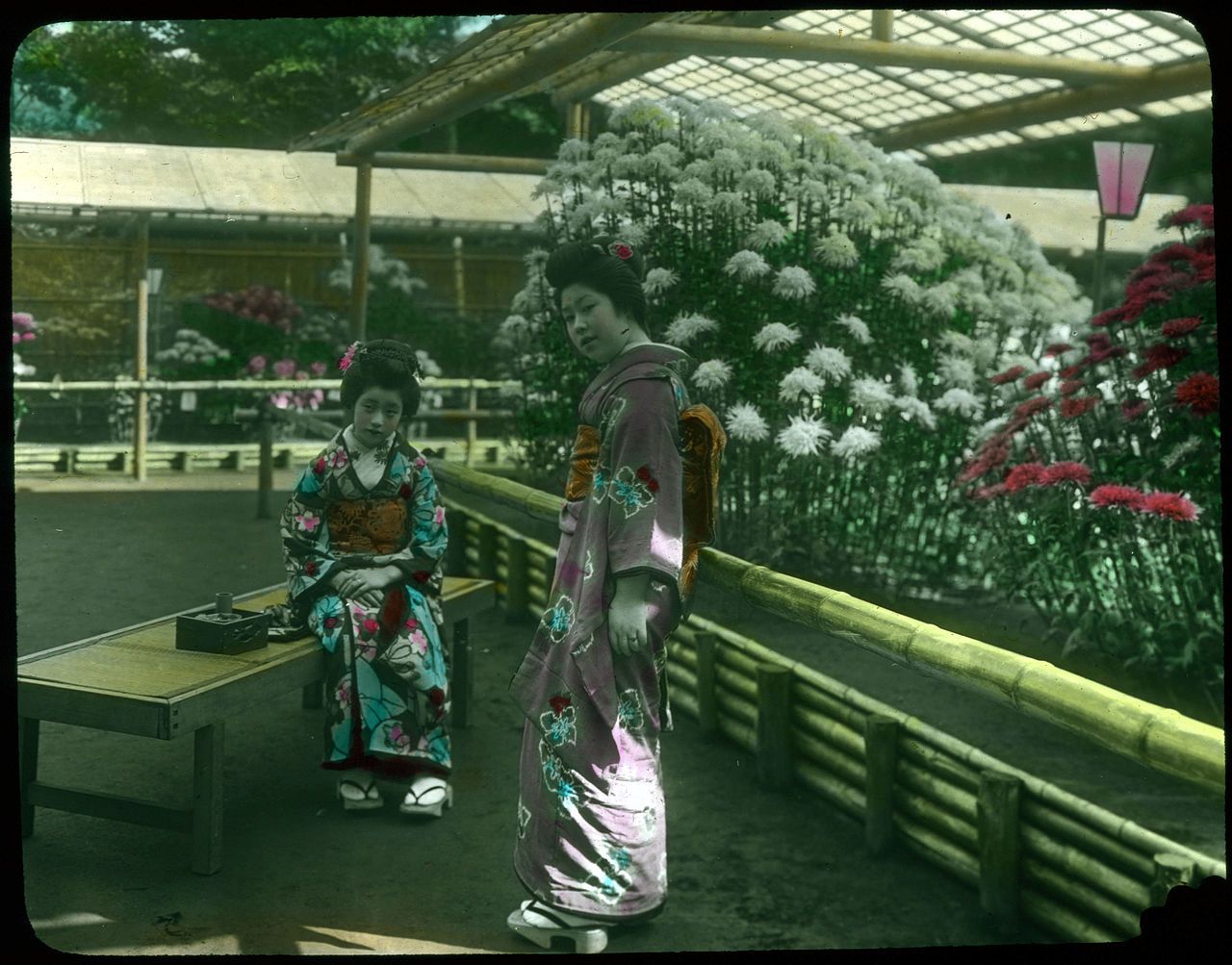 Vintage photograph of two women in kimonos in a Japanese garden filled with chrysanthemums.