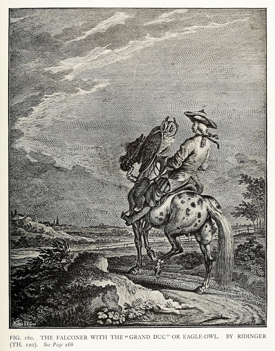 Vintage illustration of a falconer on horseback with an eagle-owl perched on his arm, set in a landscape with hills and trees.