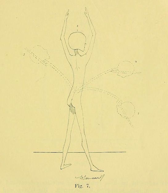 Vintage anatomical illustration of a nude figure with arms raised, showing a dotted line extending from the lower back.