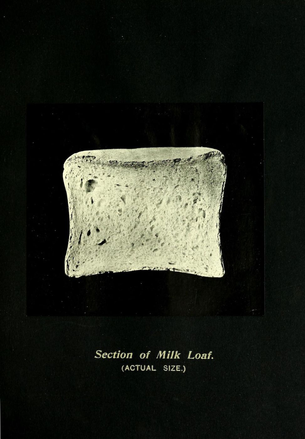 A vintage photograph of a slice of milk loaf against a black background, with text below indicating it's a section of the loaf and its actual size.