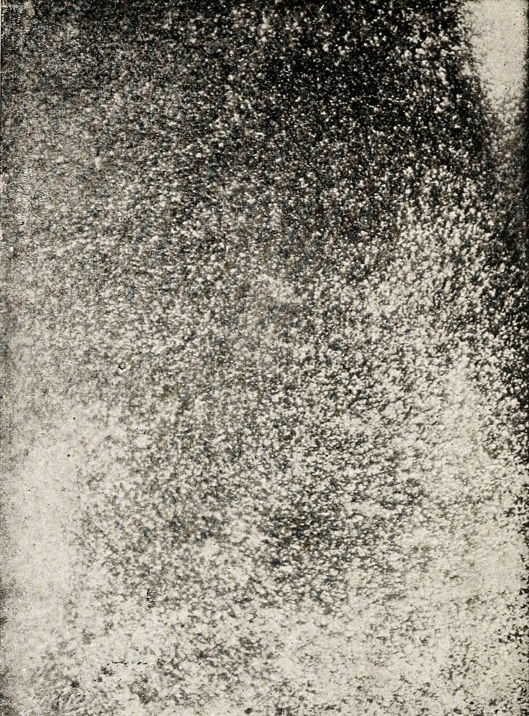 Close-up of a grainy, speckled texture with a dark background and numerous light-colored dots.
