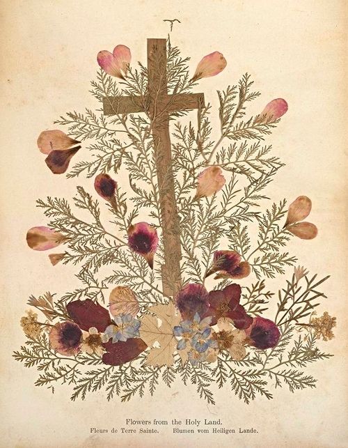 A vintage-style image of a pressed flower arrangement centered around a small cross, with text in English, French, and German below.