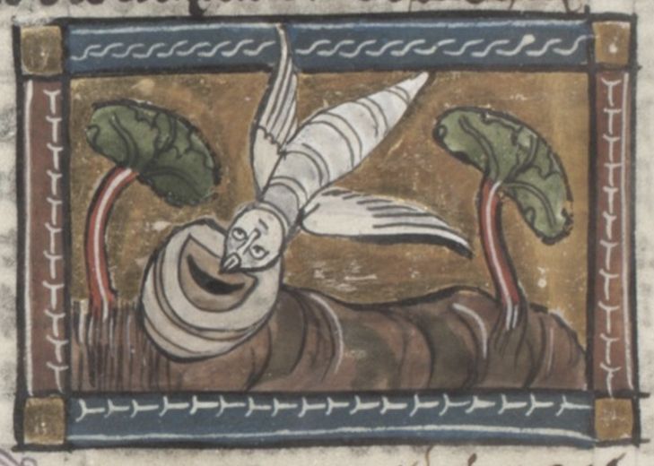 Medieval manuscript illumination of a bird being attacked by a serpent.