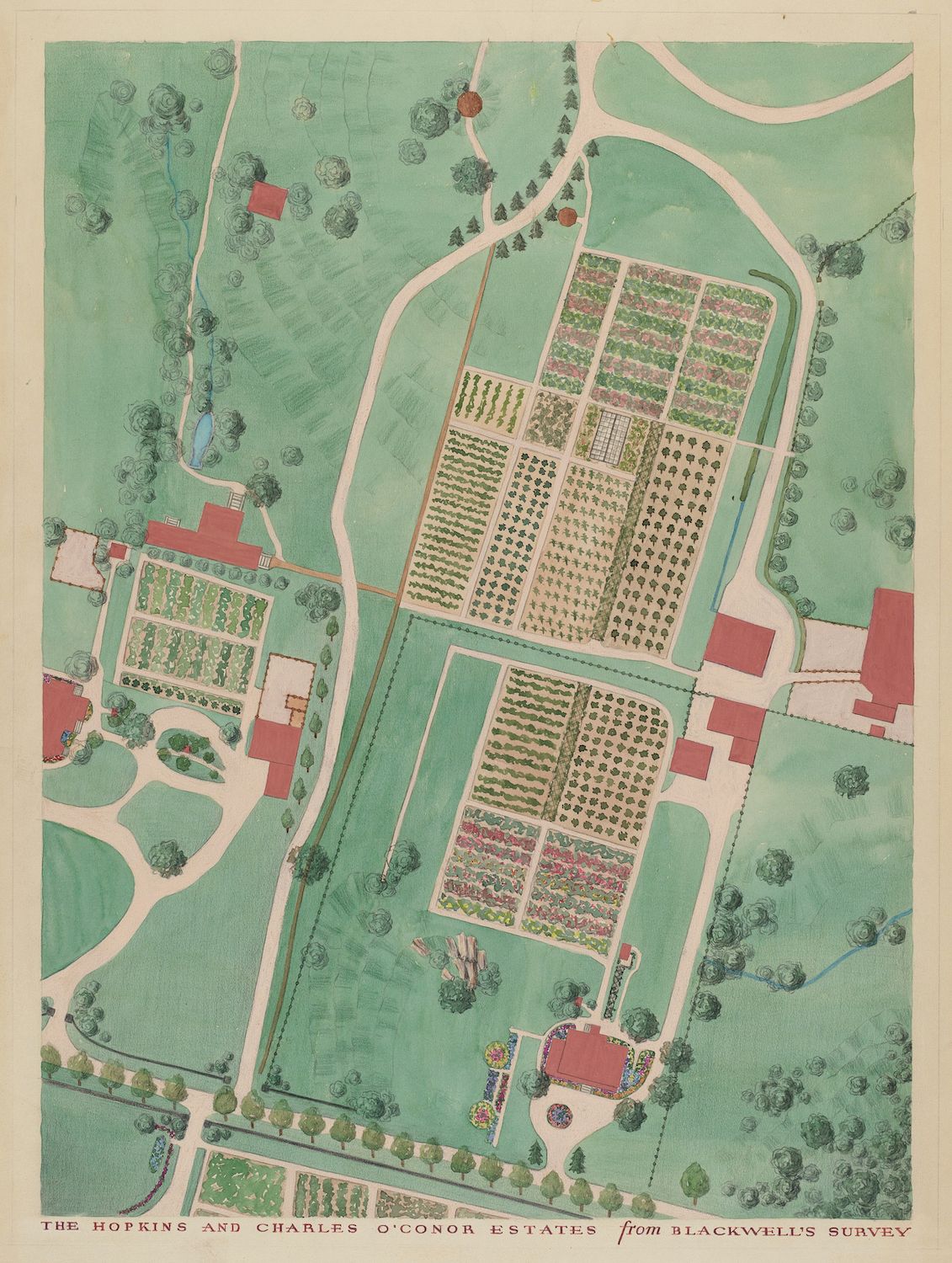 Vintage map of the Hopkins and Charles O'Conor Estates from Blackwell's Survey, showing a large garden, buildings, and surrounding landscape.