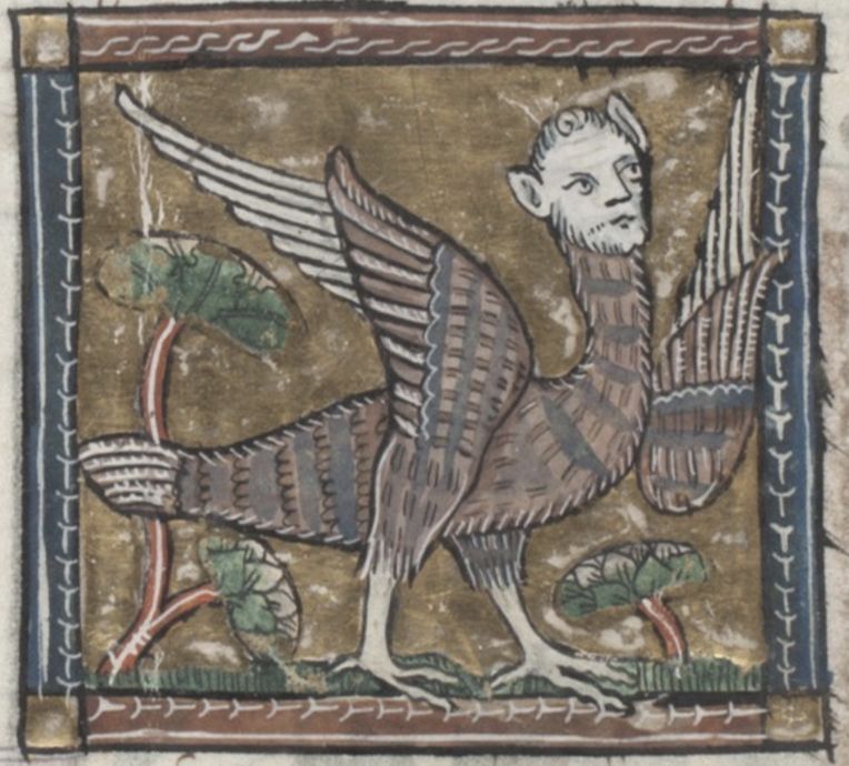 Medieval illustration of a bird-like creature with a human head.