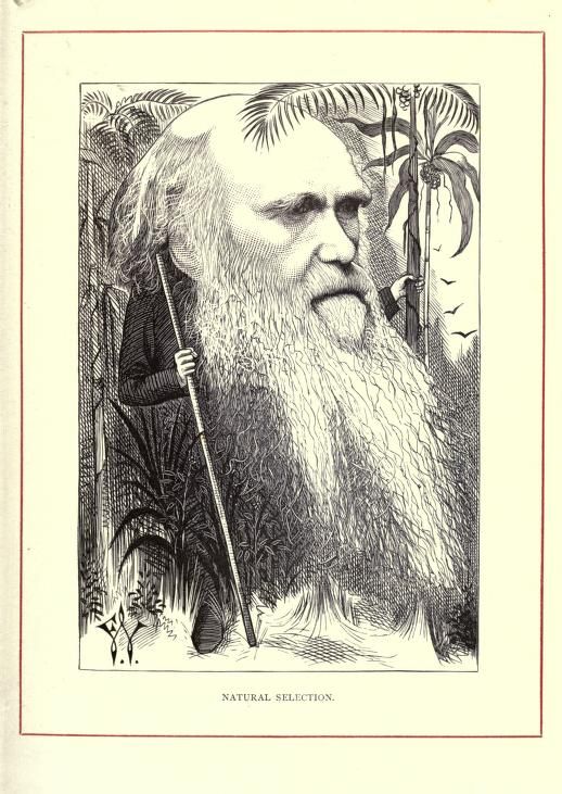 Vintage illustration of a bearded man surrounded by tropical plants, labeled 'NATURAL SELECTION'.
