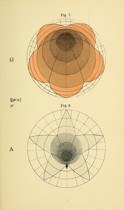 Two circular diagrams labeled 'Fig. 7' and 'Fig. 8' with radiating lines and concentric circles. Fig. 7 has a peach-colored, four-lobed shape, while Fig. 8 has a central dark gray area surrounded by a lighter gray area.